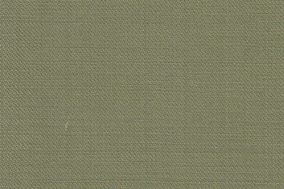 Plain Green