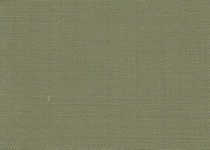 Plain Green