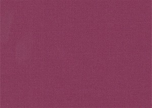 Plain Fuchsia
