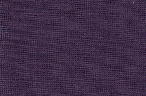 Plain Purple
