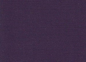 Plain Purple