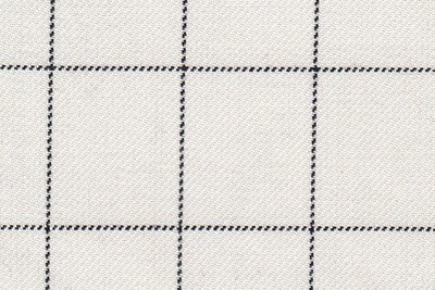 White with Black Box Check