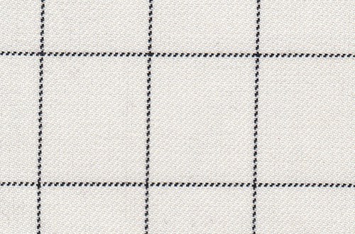 White with Black Box Check