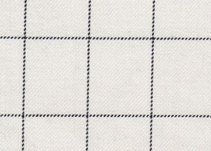 White with Black Box Check