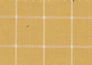 Yellow with White Box Check