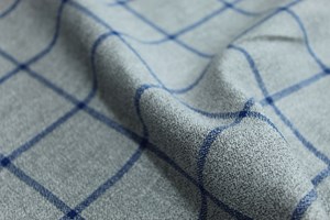 Grey with Blue check