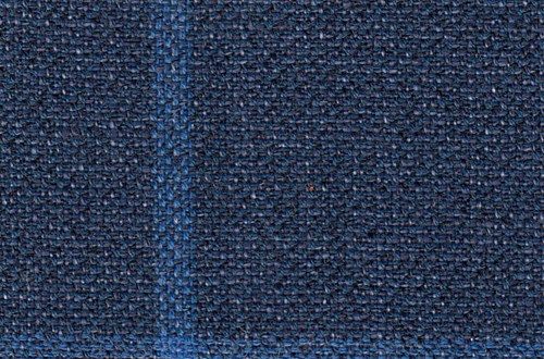 Navy with blue check