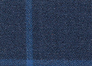 Navy with blue check