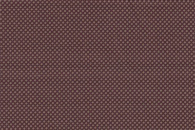Fawn / Brown birdseye