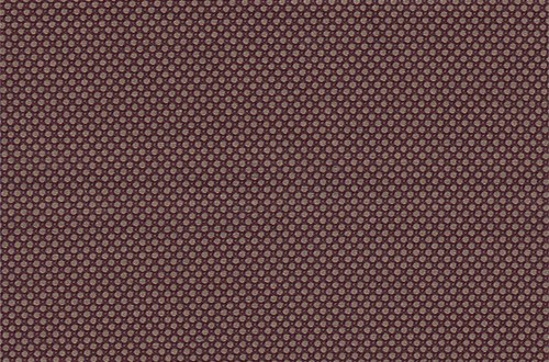 Fawn / Brown birdseye
