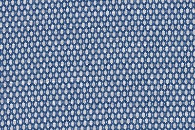 White / Blue birdseye