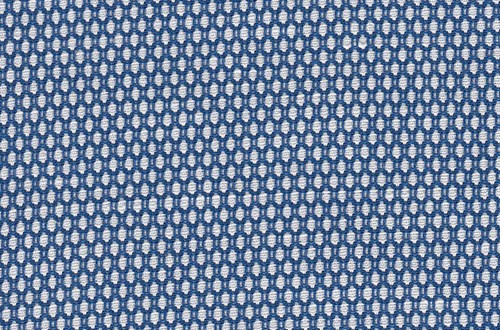 White / Blue birdseye
