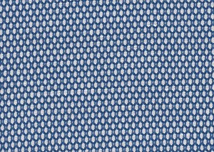 White / Blue birdseye