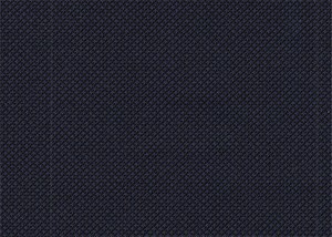 Navy/Black Birdseye