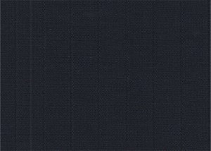 Navy Self stripe