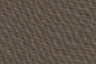 Light Khaki