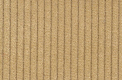 Corn 8 wale cord