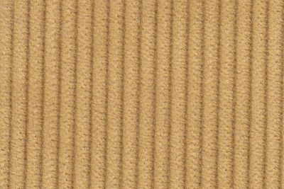 Gold 8 wale cord
