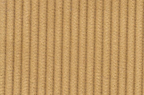 Gold 8 wale cord