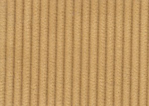Gold 8 wale cord