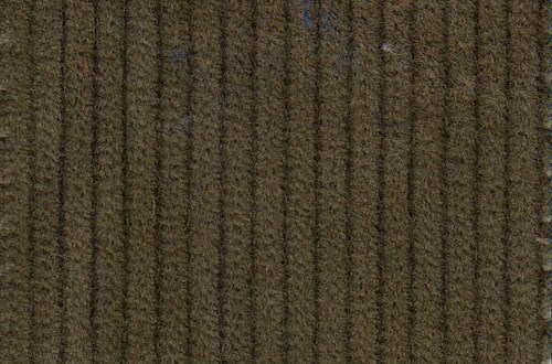 Olive 8 wale cord