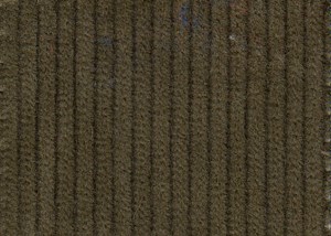 Olive 8 wale cord