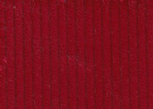 Red 8 wale cord