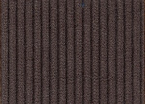 Brown 8 wale cord