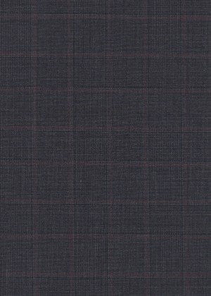 Grey and Black w/Red Check