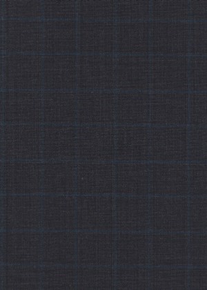 Grey and Black w/Blue Check