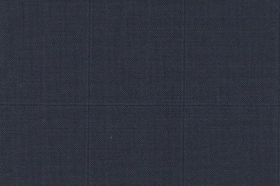 Blue w/Blacl Check
