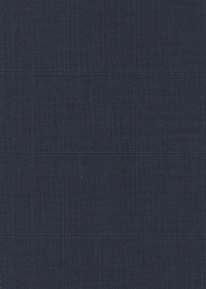 Blue w/Blacl Check
