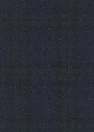 Green Blue and Black Check