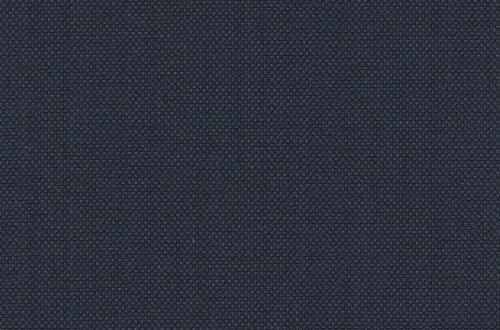 Blue and Black Birdseye