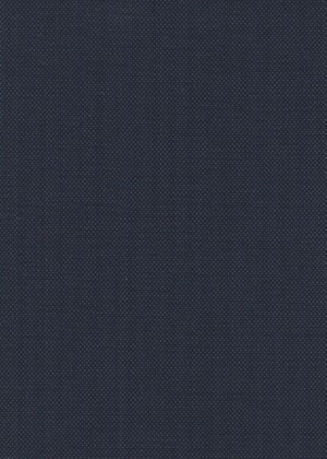 Blue and Black Birdseye
