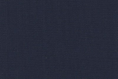 Blue and Navy Birdseye