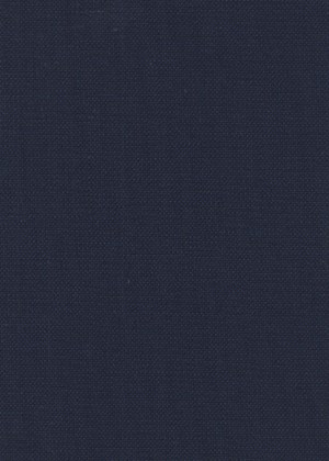 Blue and Navy Birdseye