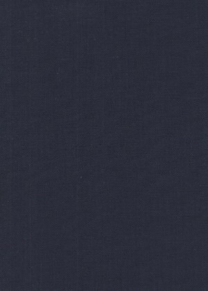 Navy and Blue