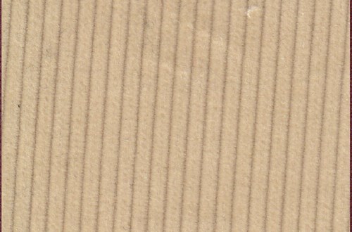 Corn 10 wale cord