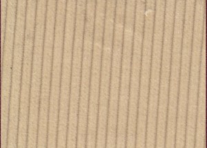 Corn 10 wale cord