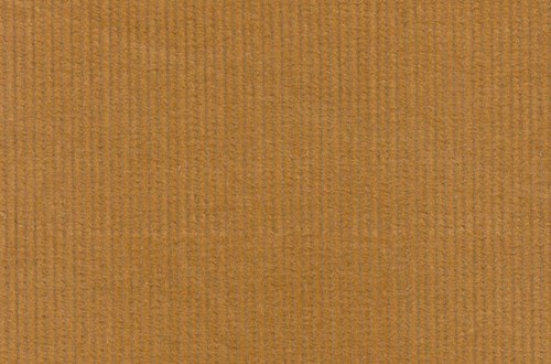 Gold 12 wale cord
