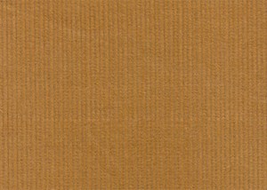 Gold 12 wale cord