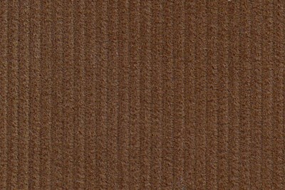 Tan 12 wale cord
