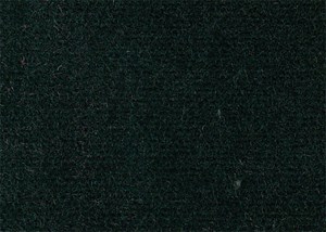 Plain Green Velvet