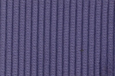 Purple 8 wale cord