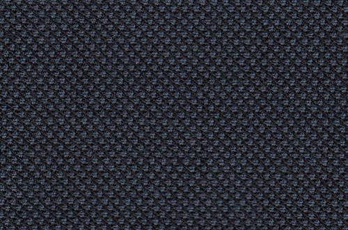 Navy Birdseye