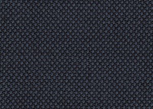 Navy Birdseye