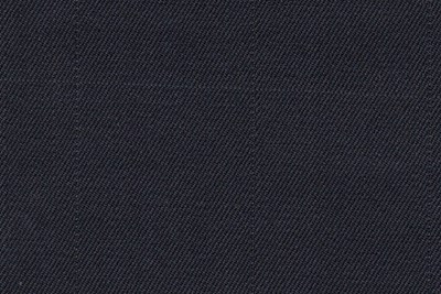 Navy with silver check