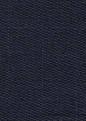 Navy with blue check