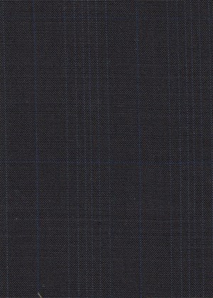 Navy with blue check